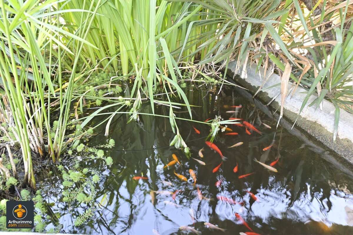 Maison à NIORT
