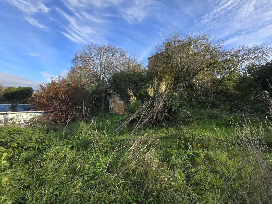 Maison à SAINT-MARTIN-LACAUSSADE