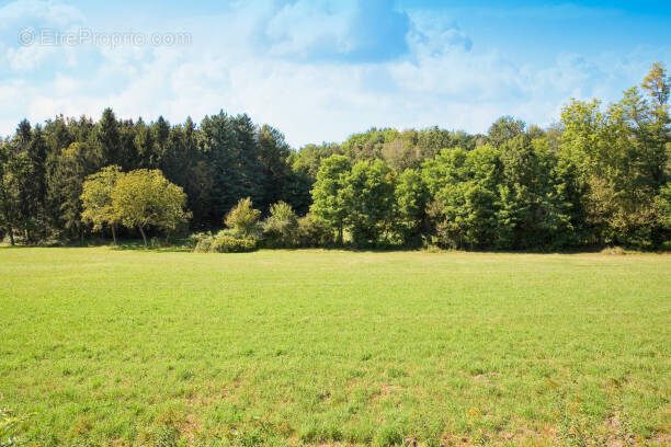 Terrain à BISCARROSSE