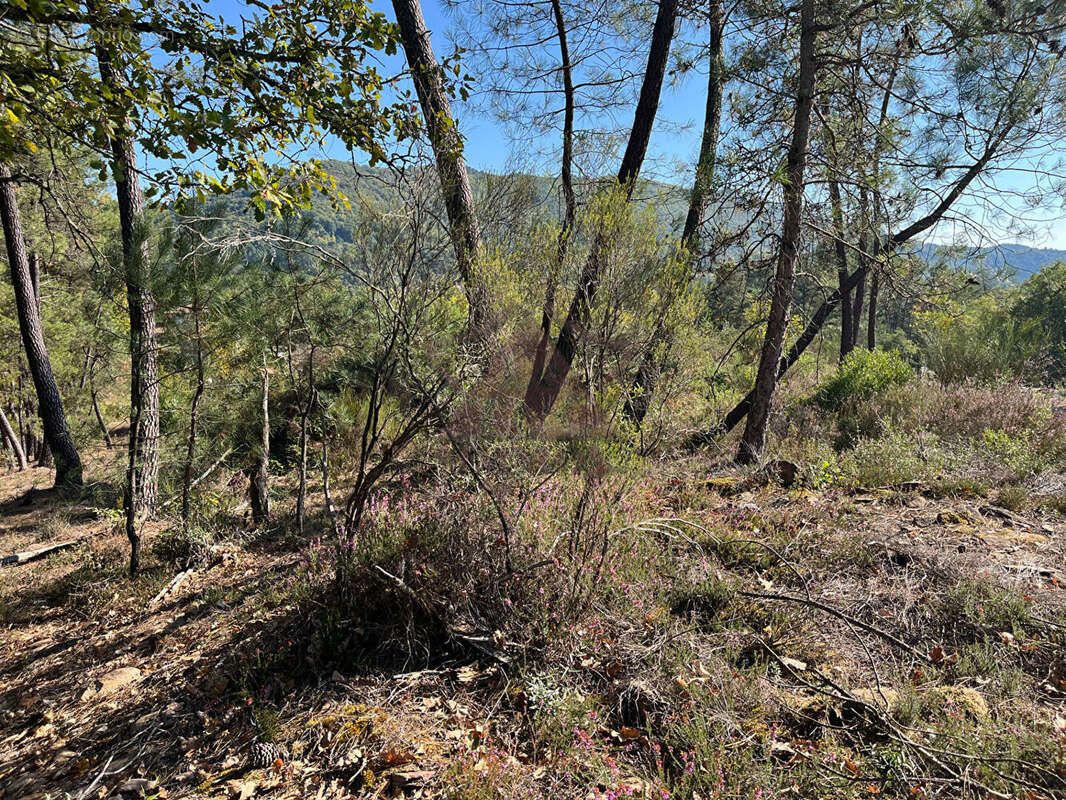 Terrain à GAGNIERES