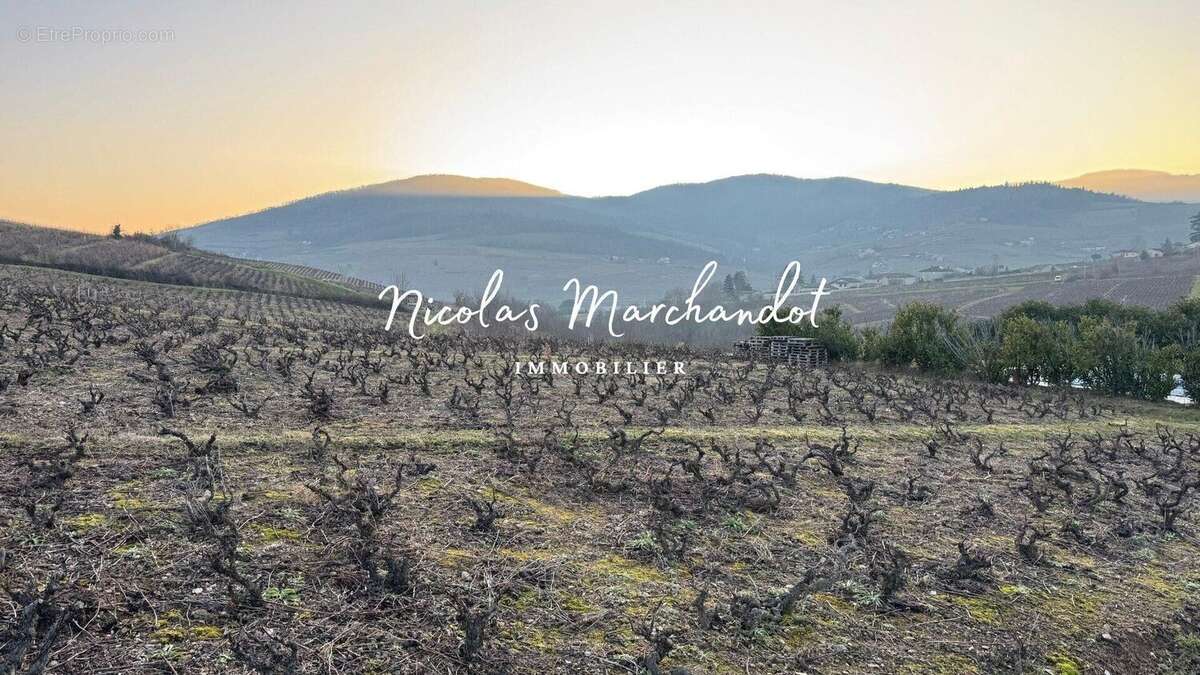 Photo 4 - Commerce à LANTIGNIE