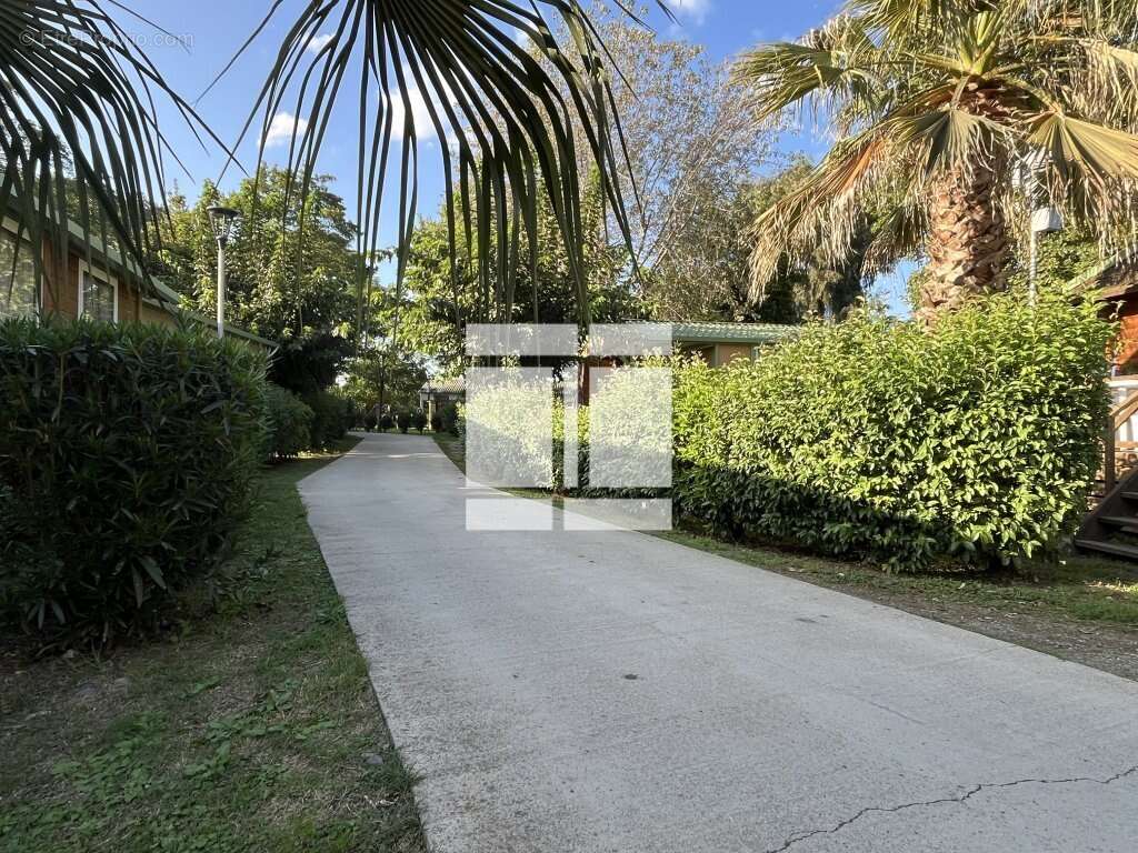 Maison à SORBO-OCAGNANO