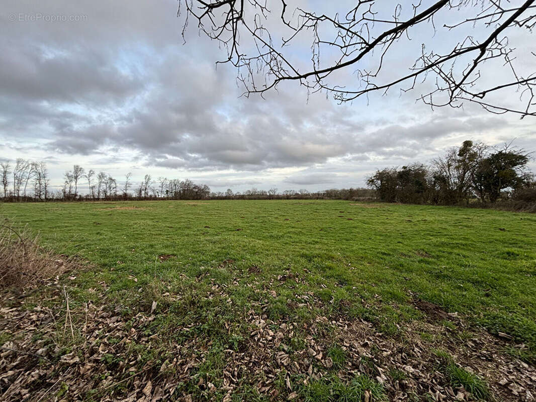 Autre à SAINTE-GENEVIEVE