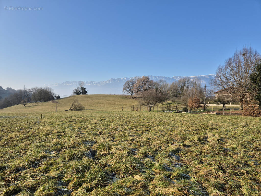 Terrain à LA CHAPELLE-BLANCHE