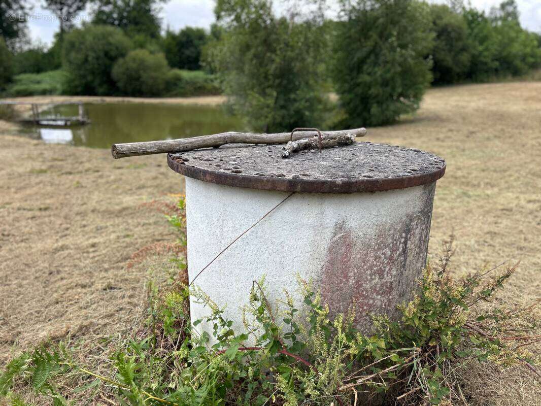 Terrain avec petite pièce d'eau - photo 6