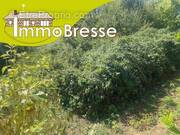 Terrain à MONTREVEL-EN-BRESSE