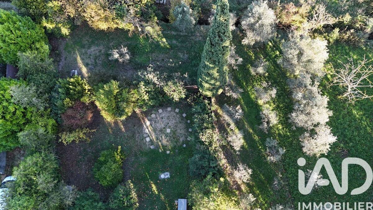 Photo 1 - Terrain à SAINT-REMY-DE-PROVENCE
