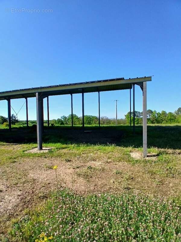 Terrain à SAINT-MARTIN-DE-RIBERAC