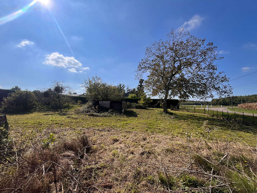 Maison à VARENNES-SAINT-SAUVEUR