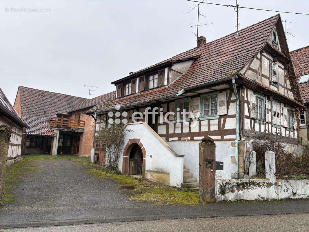 Maison 200 m² à Steinseltz  - photo 3