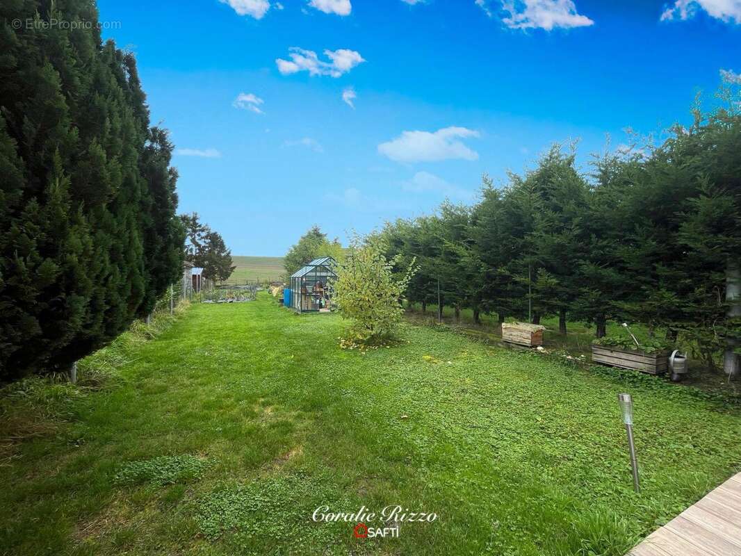 Photo 2 - Appartement à MORHANGE