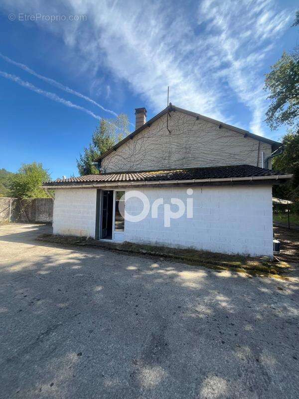 Maison 300 m² à Terrasson-Lavilledieu  - photo 6