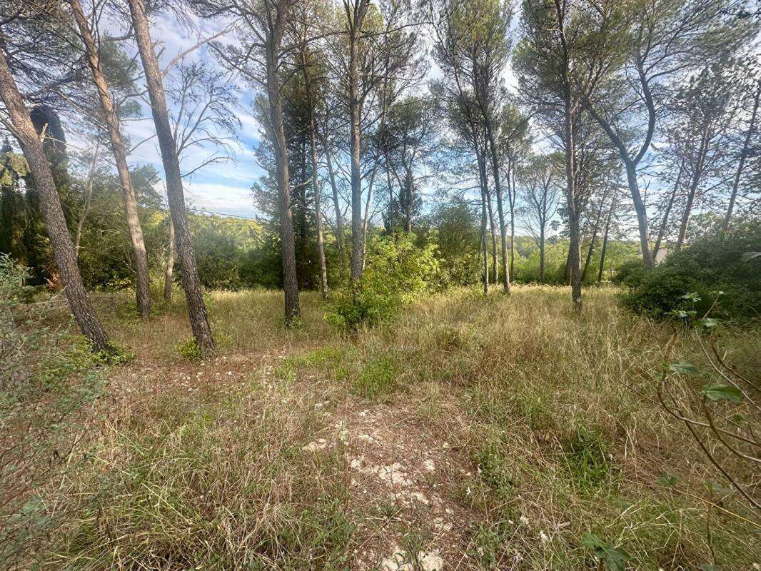 Terrain à MONTPELLIER