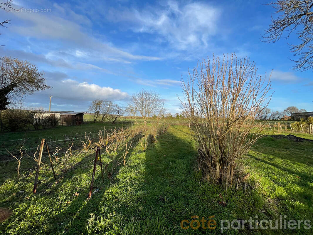 Maison à SAINT-BAUDEL