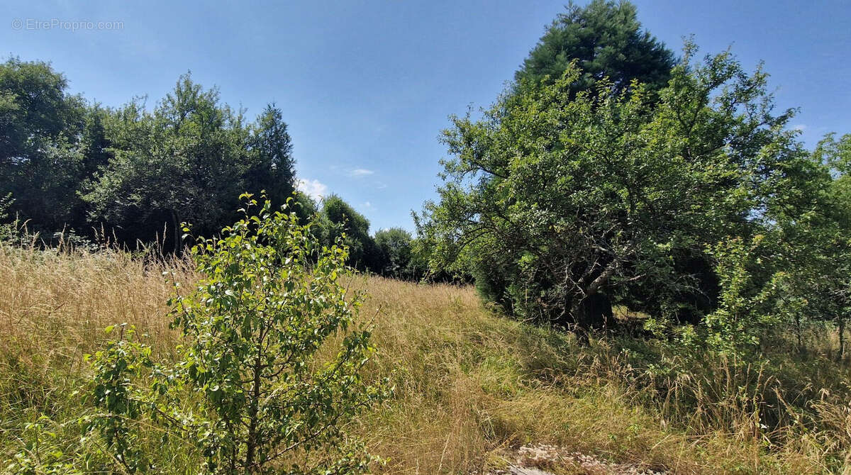 Maison à PASSAVANT-LA-ROCHERE