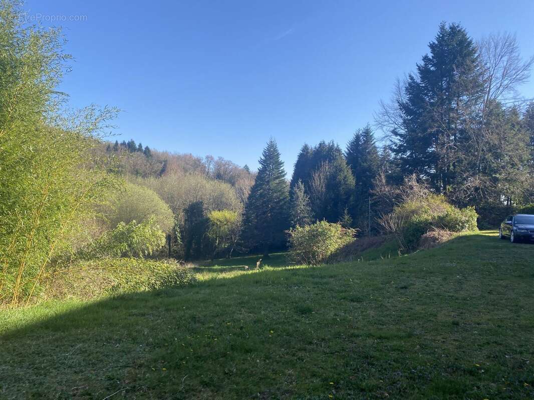 Maison 239 m² à Saint-Hilaire-Les-Courbes  - photo 2