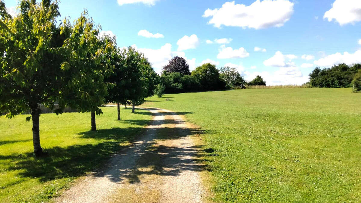 ALLEE - Maison à SALLES-DE-VILLEFAGNAN