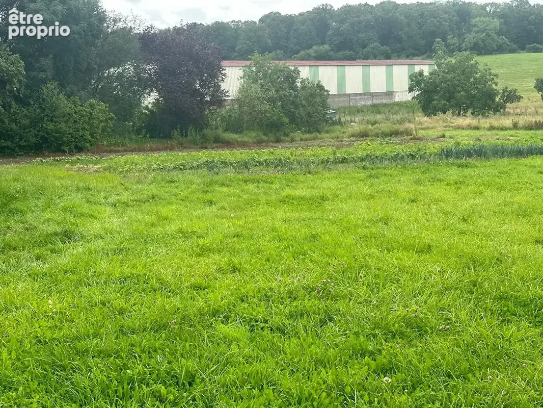 Maison de 4 chambres et son terrain de 7500 m2 - photo 14