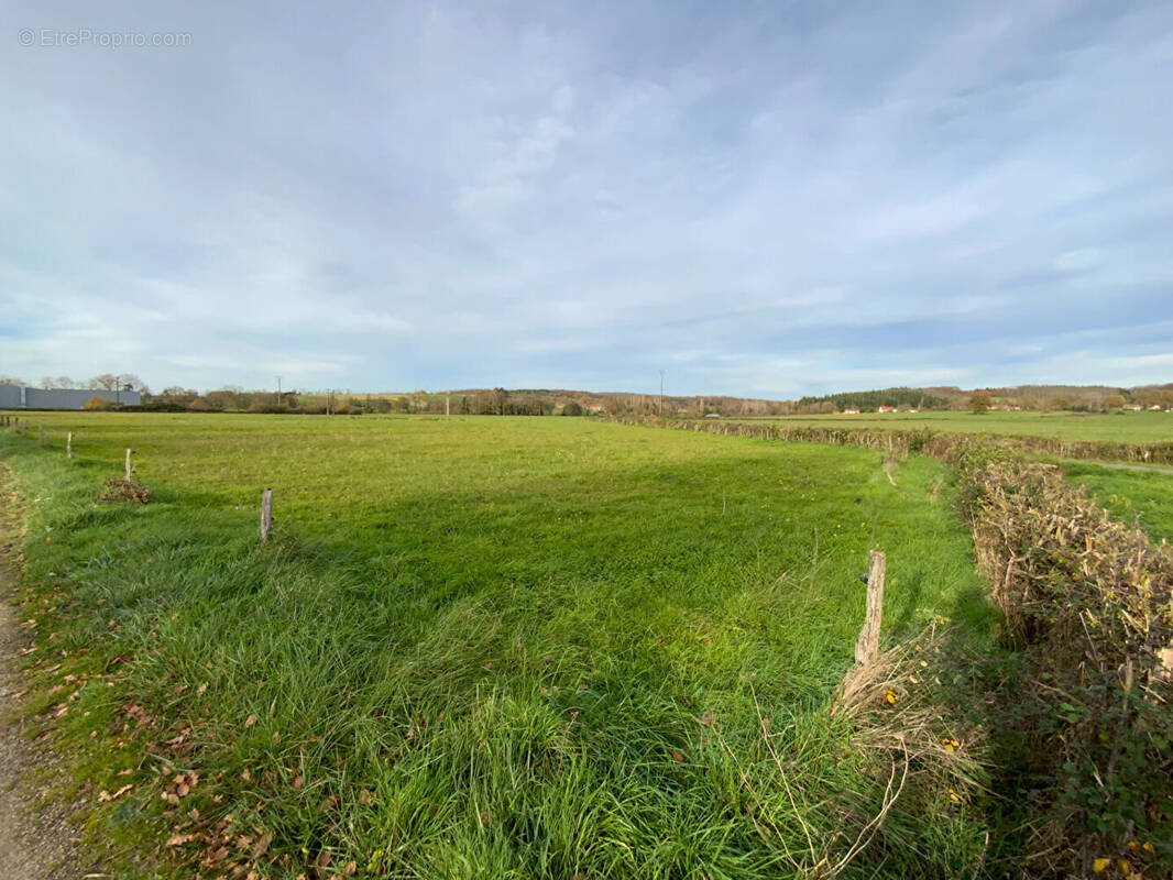 Terrain à SAINT-AGNAN