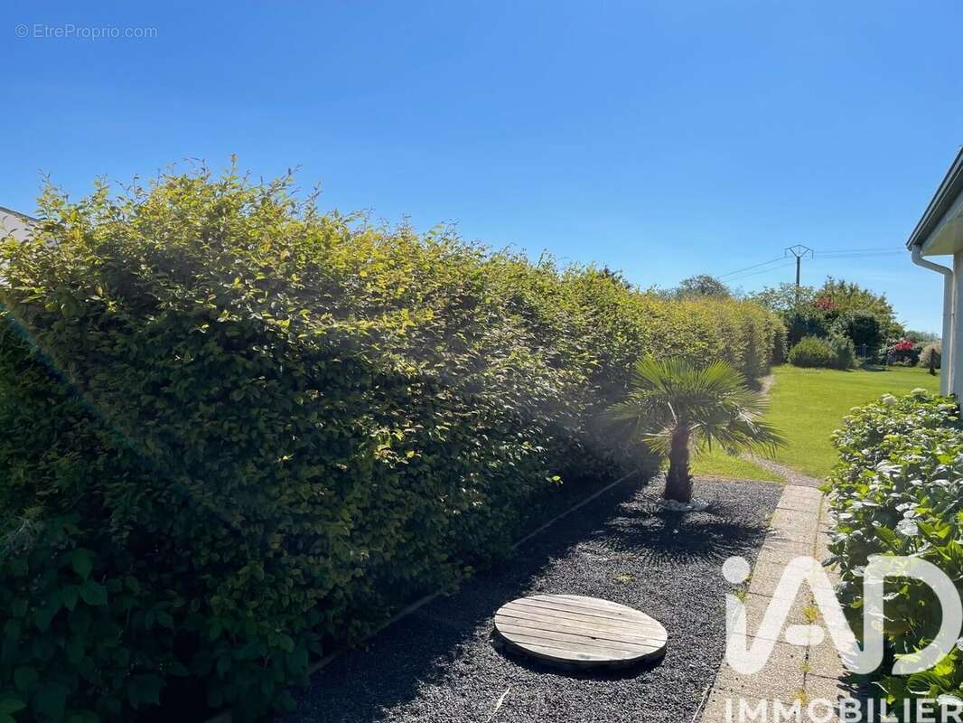 Photo 7 - Maison à SAINT-JOUIN-BRUNEVAL