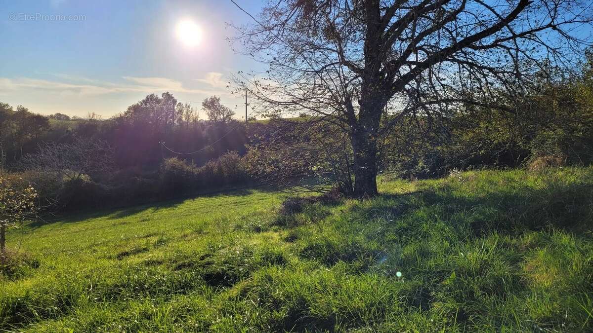 Maison à CORDES-SUR-CIEL