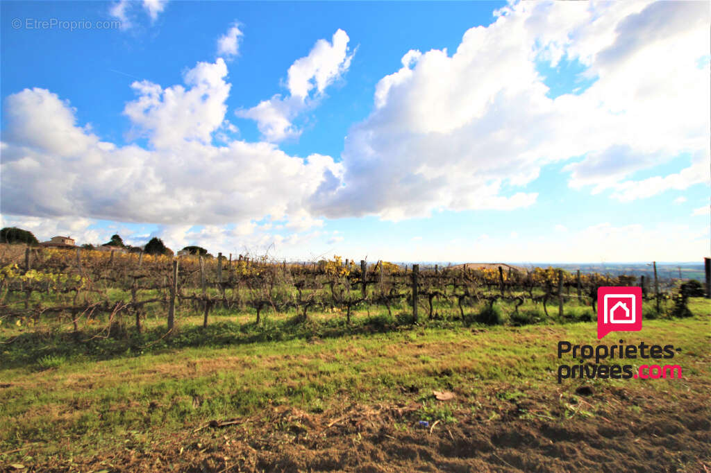 Terrain à LANGON