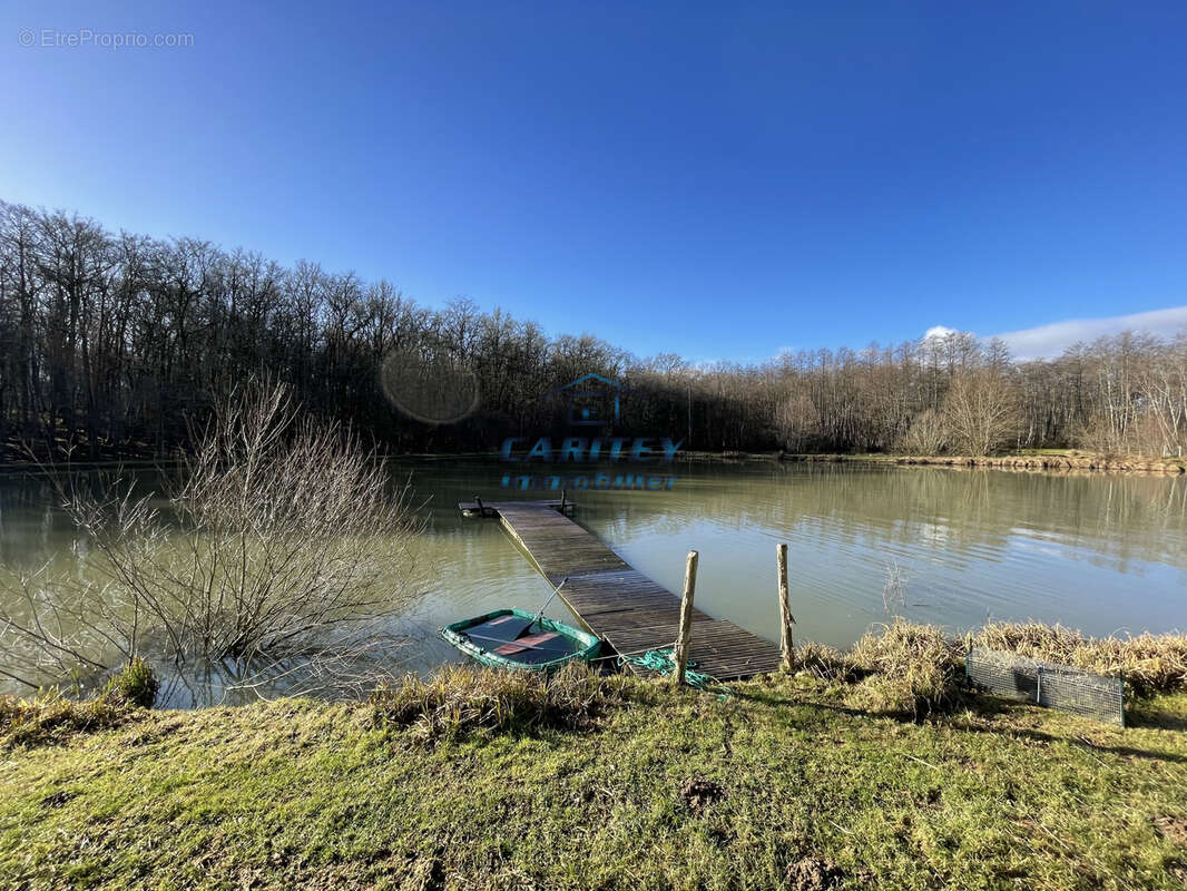 Terrain de loisir avec 3 etangs - axe lure / villersexel - photo 6