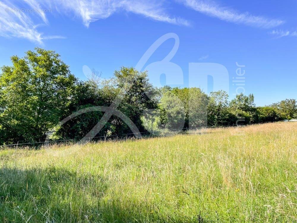 Terrain viabilisé (Lot 1) - Terrain à PANISSAGE