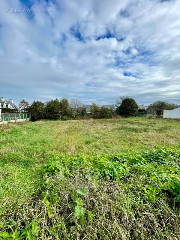 Terrain à QUIBERON