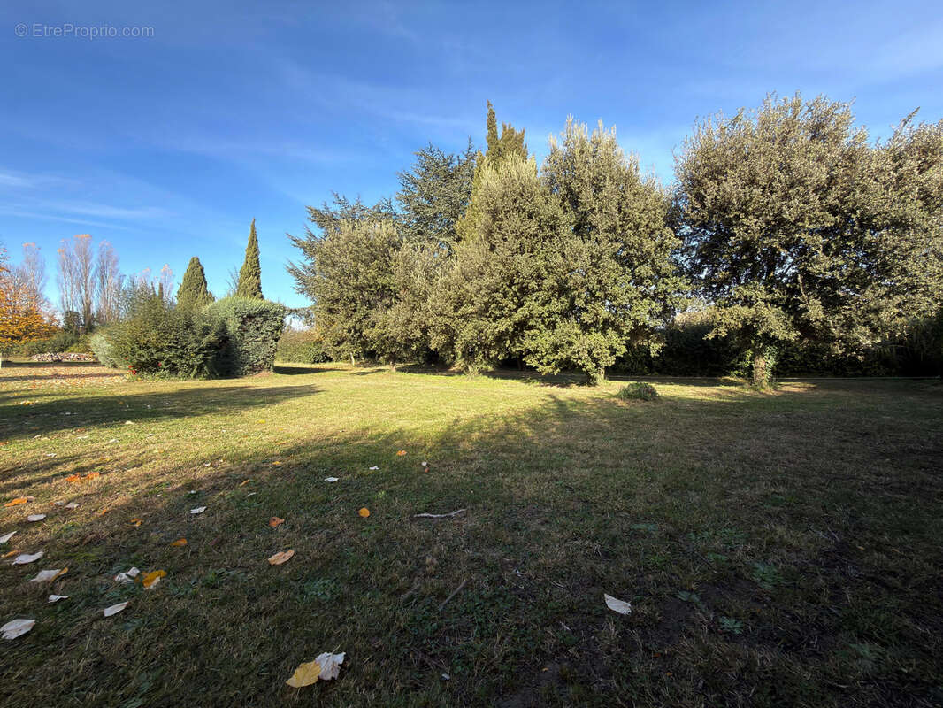 Terrain à SAINT-QUENTIN-LA-POTERIE