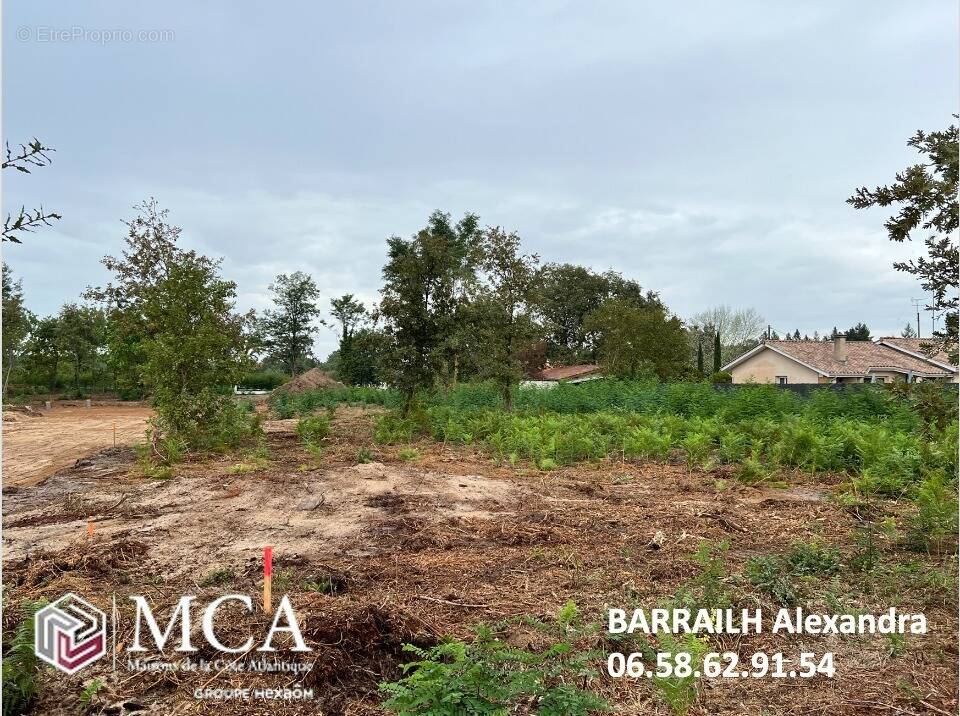 Terrain à BELIN-BELIET