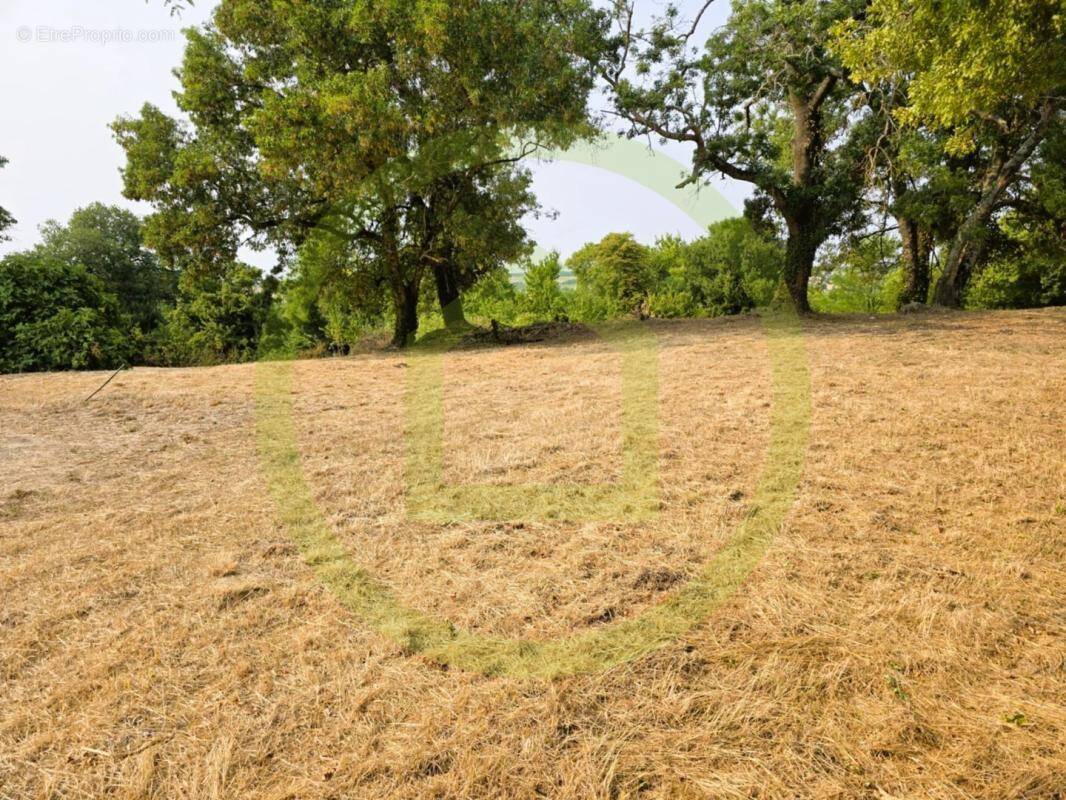 Terrain à SAINT-BONNET-SUR-GIRONDE
