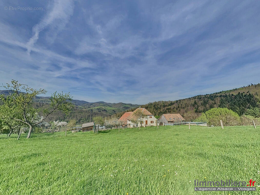 Maison à SAINTE-MARIE-AUX-MINES