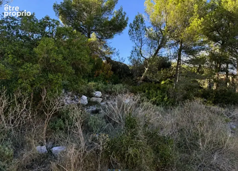 Terrain 204 m² à vendre à Le Luc (83340) - photo 3