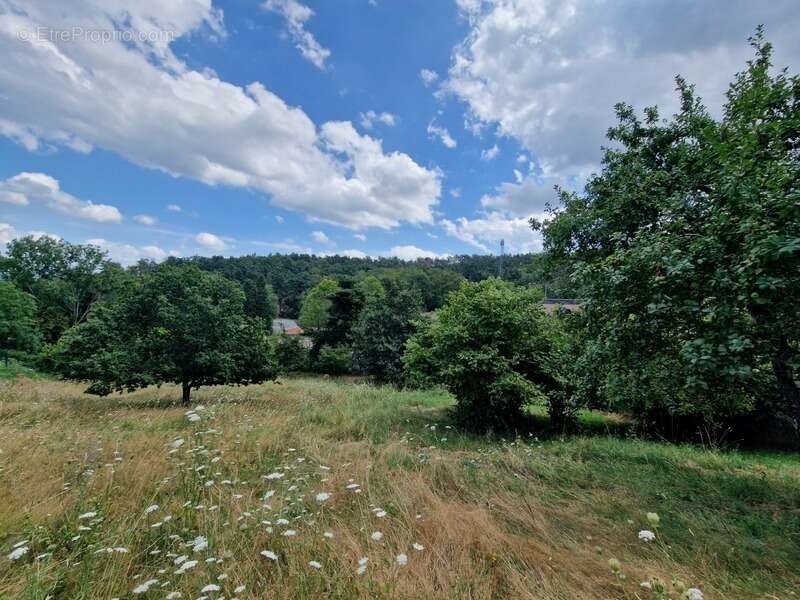 Terrain à vendre de 1271 m² orienté SUD sur la commune de MARCOUX, 2 minutes de BOEN et 15 minutes de MONTBRISON - photo 4