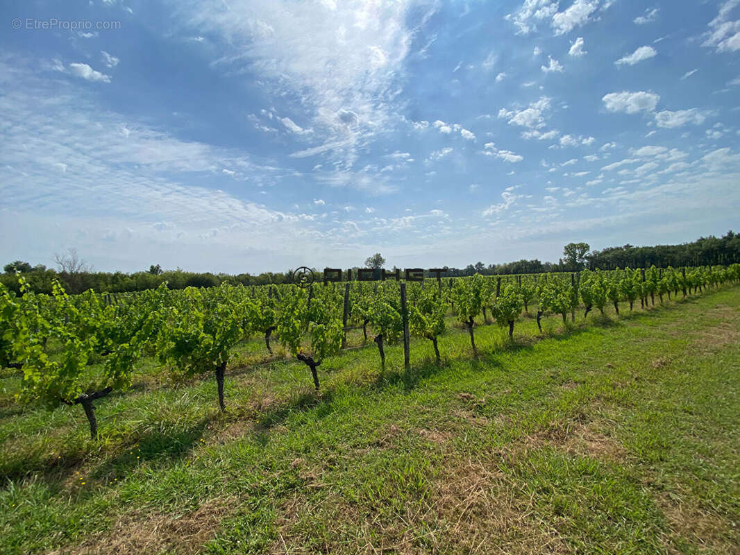 Terrain agricole Arveyres 21 820 m2 - photo 2