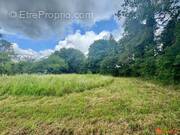 Photo 1 - Terrain à VATTEVILLE-LA-RUE