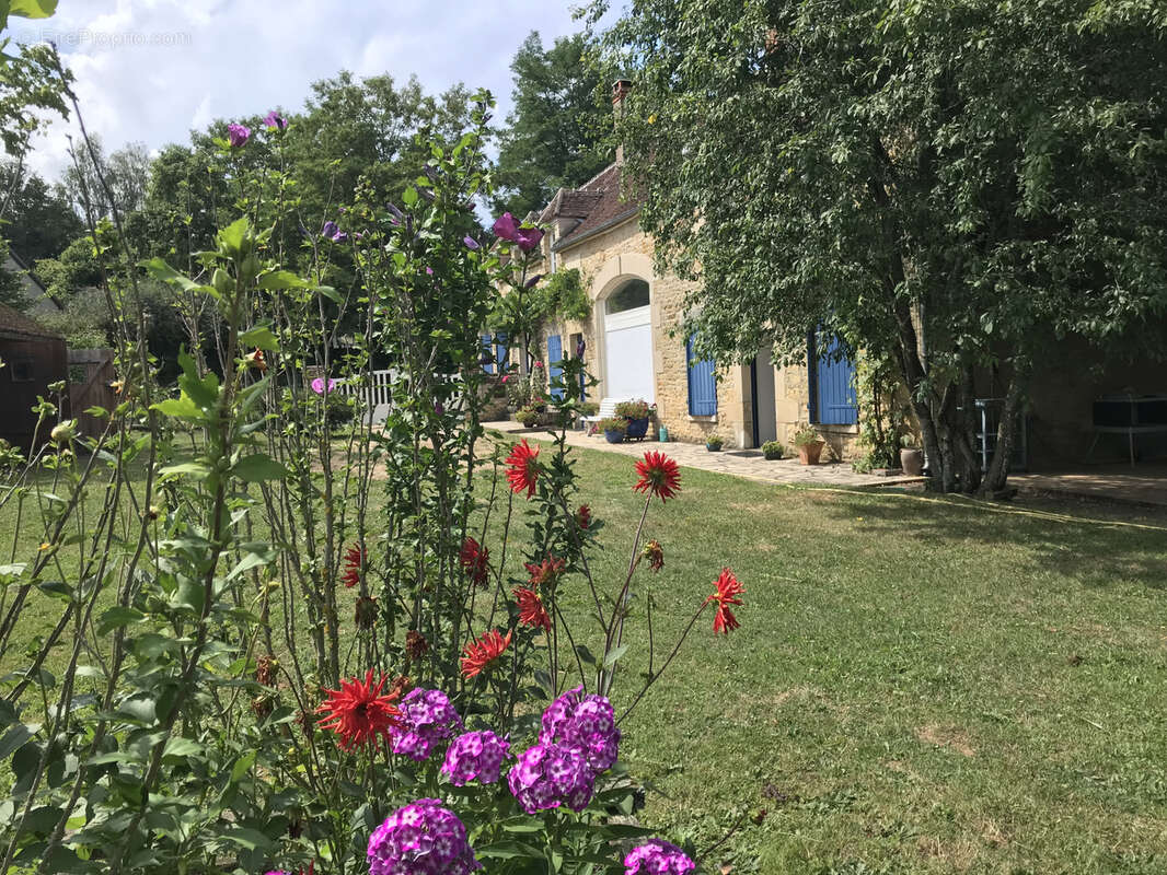Maison à MENOU