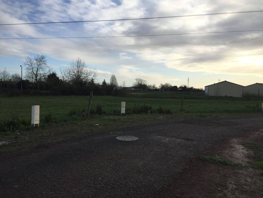 Terrain à CHAMPAGNE-LES-MARAIS