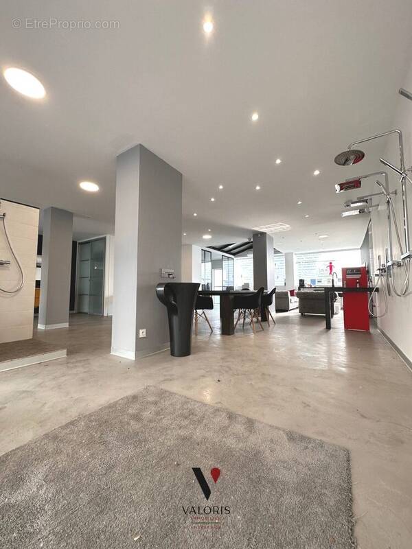 Commerce à GRENOBLE