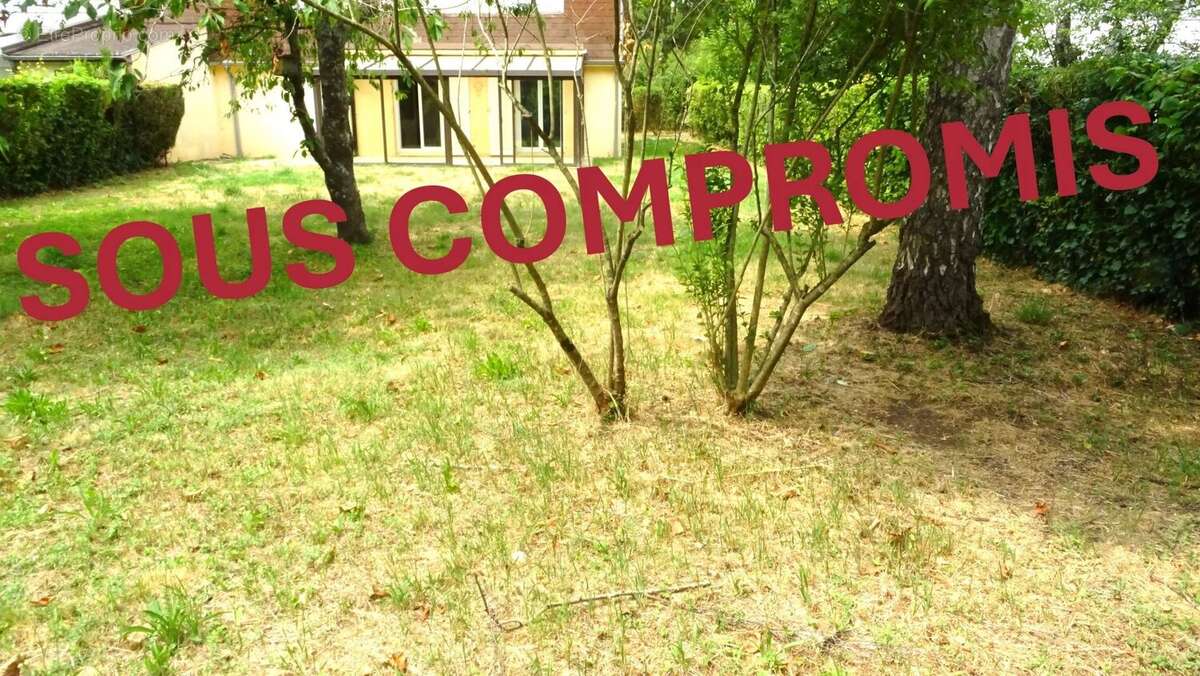 Maison à CHEVIGNY-SAINT-SAUVEUR