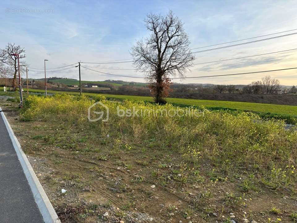 Terrain à LASSERRE