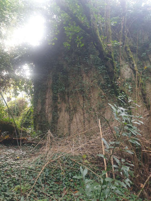 Maison à SAINT-BONNET