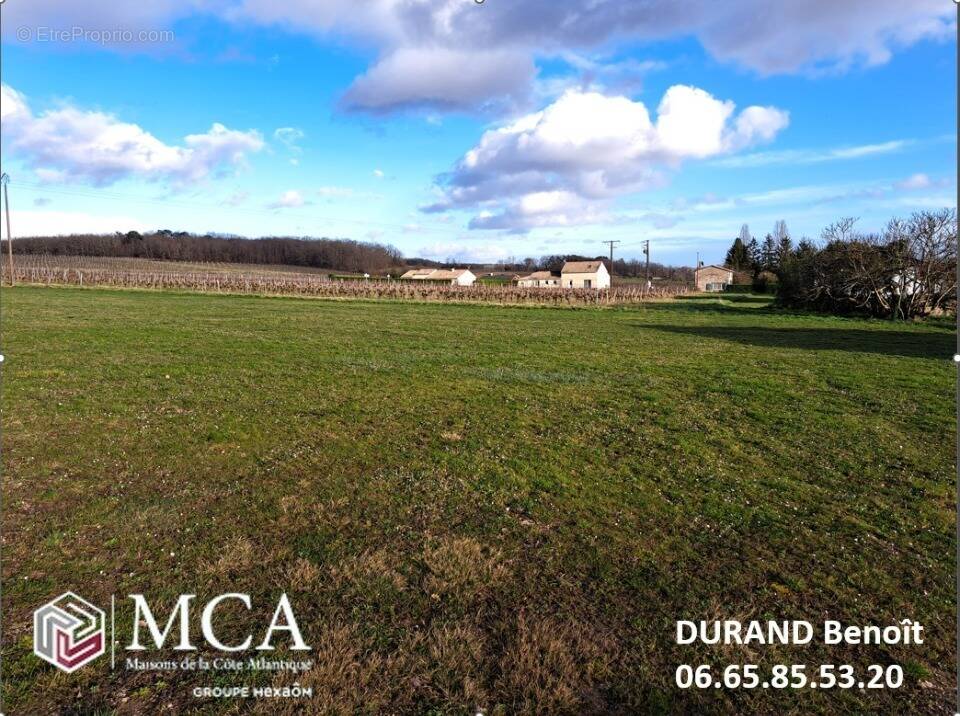 Terrain à MONESTIER