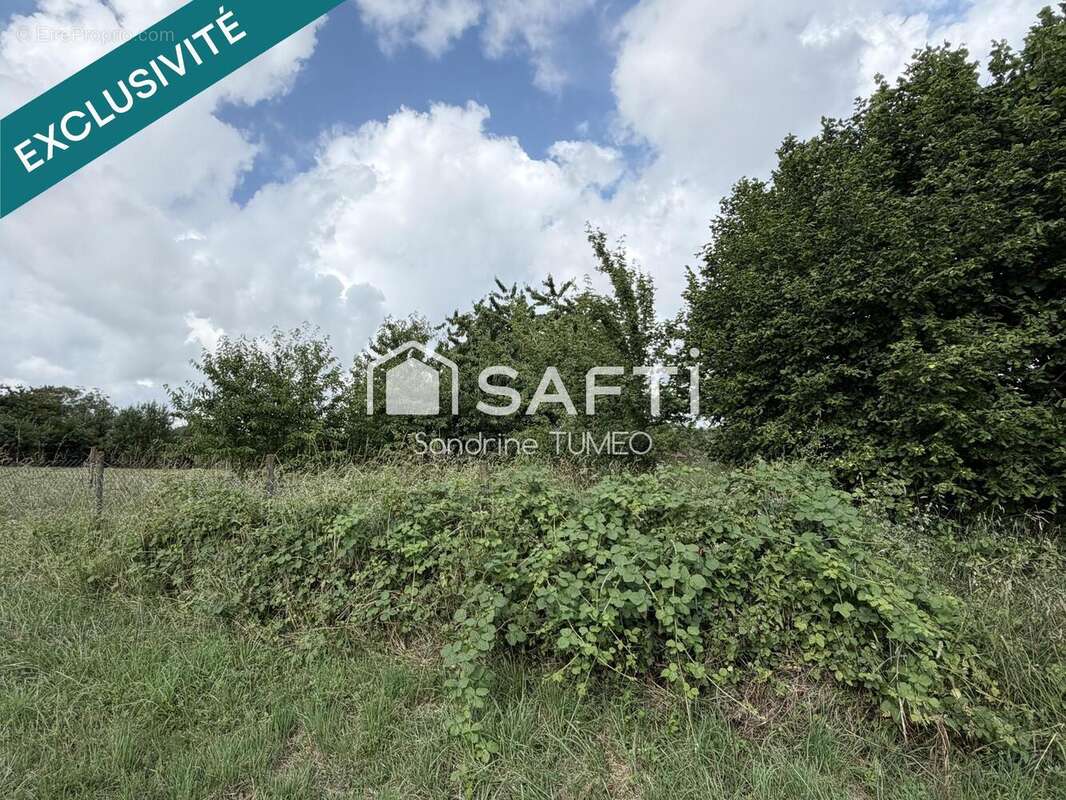Terrain 810 m² à Bersaillin  - photo 3
