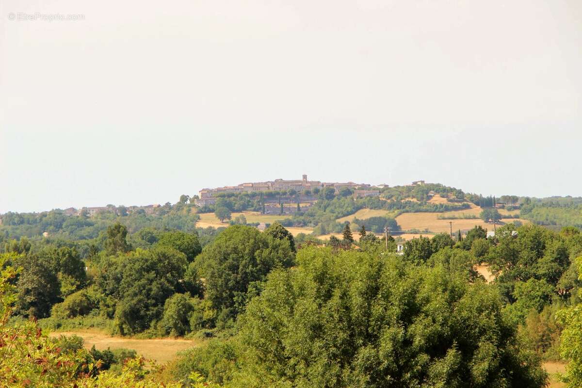 Propriété de caractère exceptionnelle avec vue sur Castelnau-de-Montmiral - photo 18