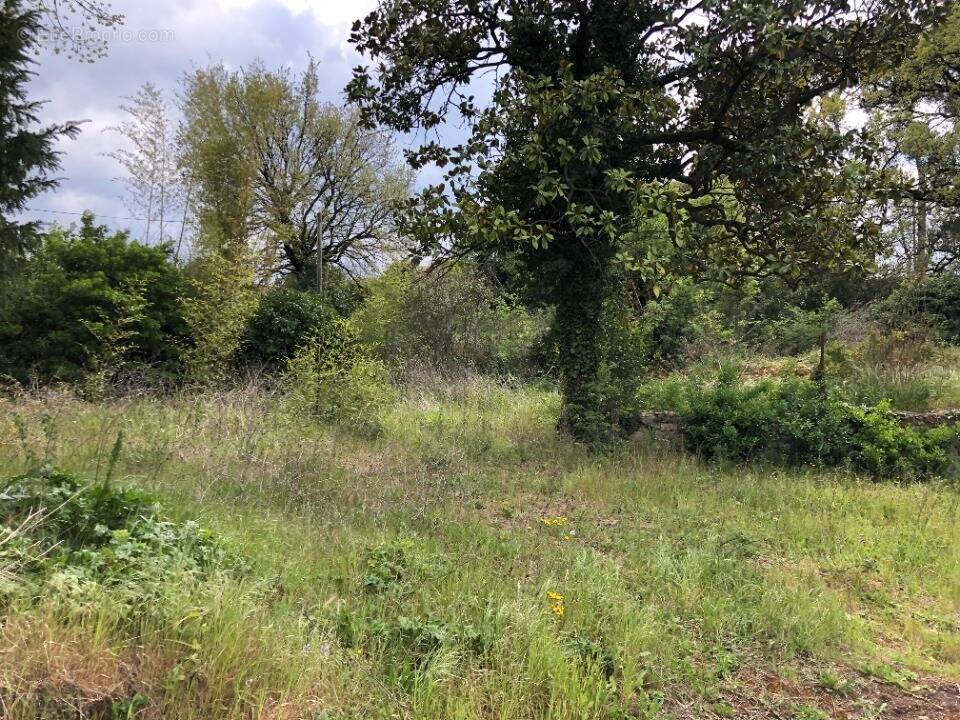 Terrain à BOUC-BEL-AIR