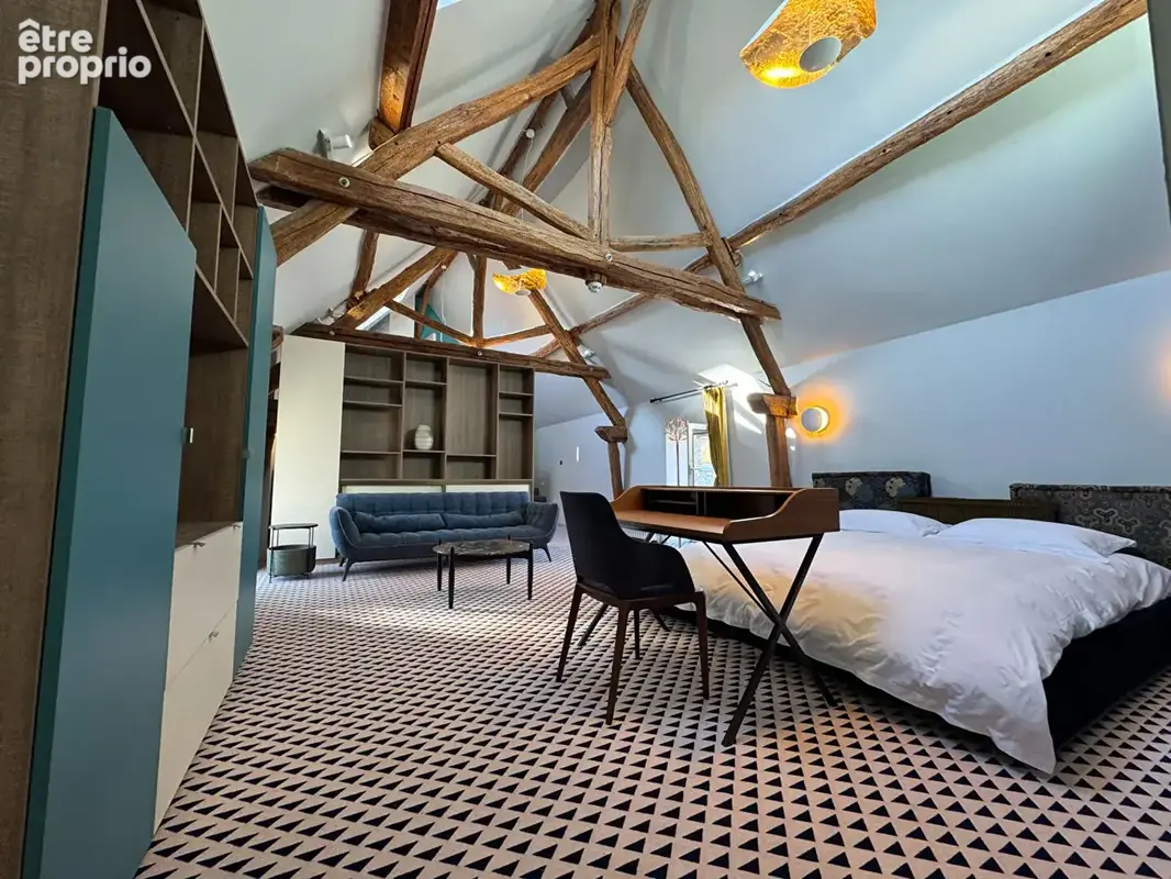 Demeure de prestige Coeur du vieux village  Thoiry 20 pièces  700 m2 - photo 9