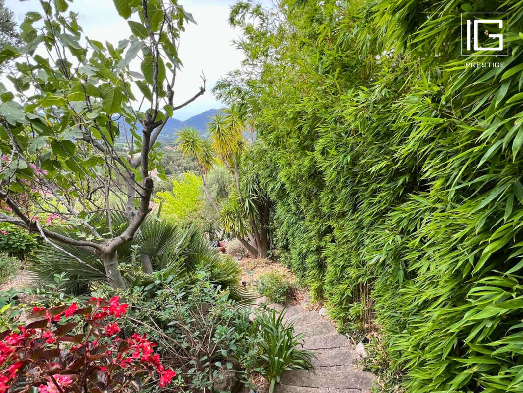 Maison à PLAN-DE-LA-TOUR