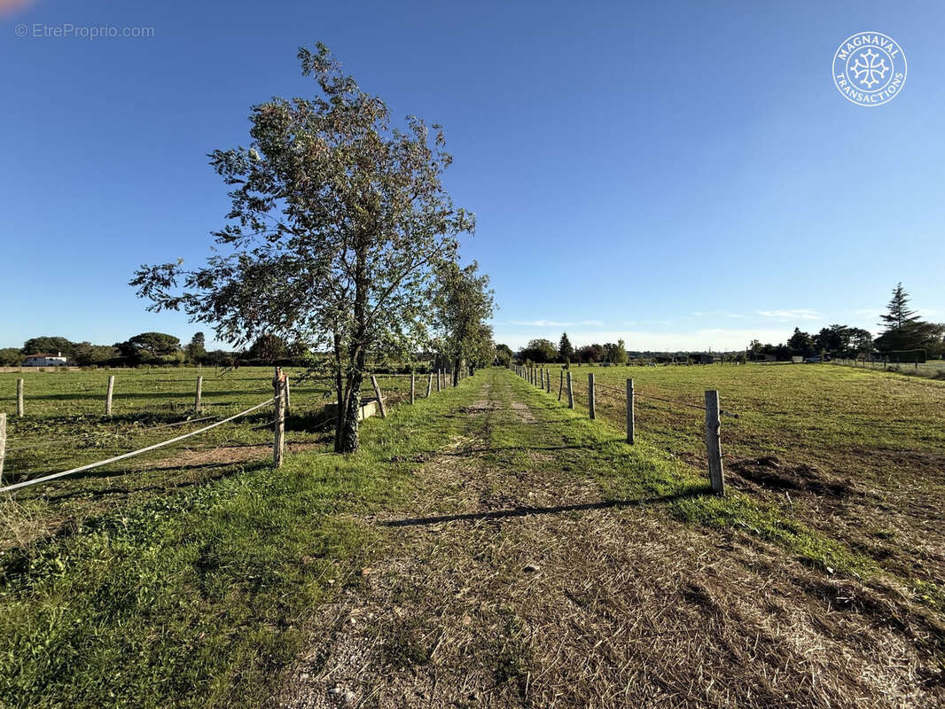 Centre équestre complet (Tarn-Occitanie) - photo 7